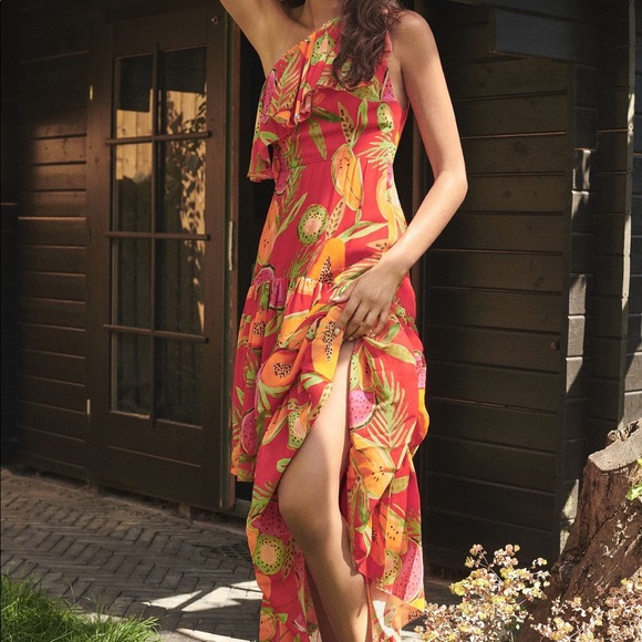 NWT Anthropologie Farm Rio Papayas Maxi Dress - Picture 4 of 7